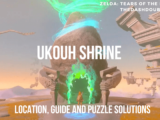 Ukouh Shrine Location: Complete Guide and Puzzle Solutions - Everything You Need to Know 3 Link standing at the entrance gate of the ukouh shrine
