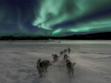 How to Use Your Smartphone to Get a Better View of The Northern Lights 3 dog sledging during the Northern Lights