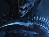 alien romulus xenomorph
