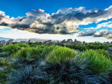 How to Travel Better for the Planet This Earth Day (And Every Day After) 3 earth day sustainable travel