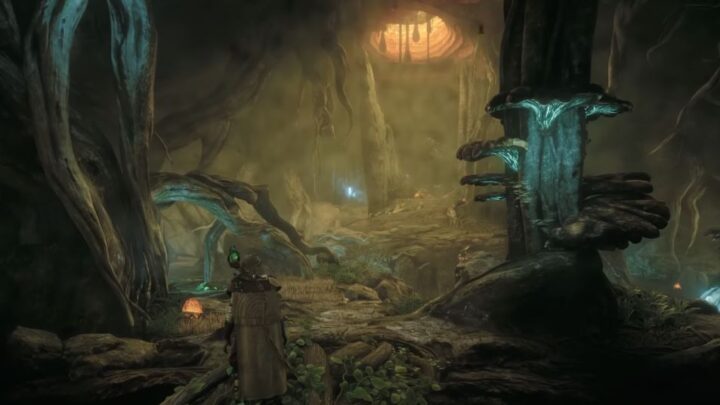 Why Soulframe Might Be the MMORPG Underdog That Shakes Up the Live Service Scene