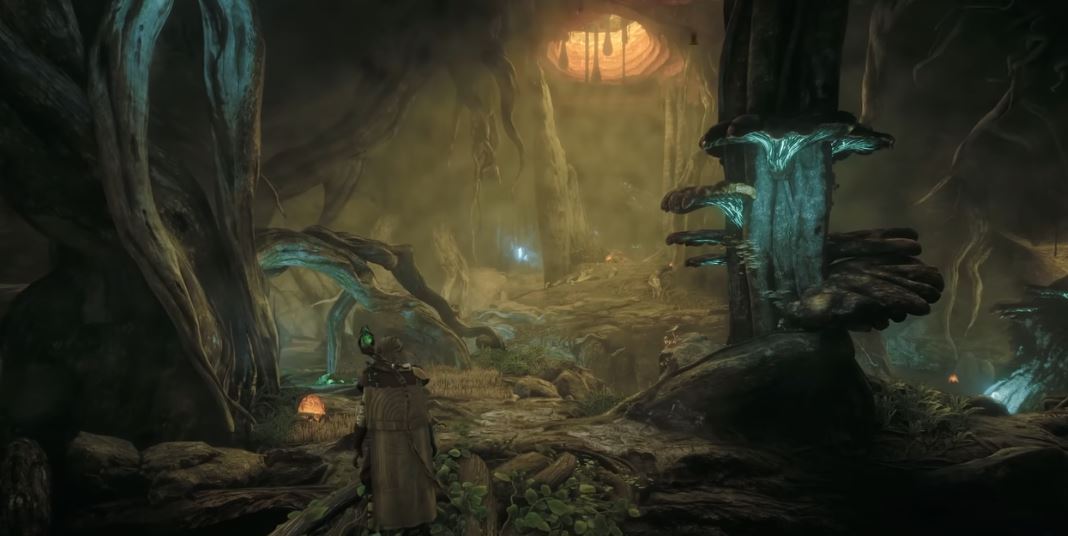Why Soulframe Might Be the MMORPG Underdog That Shakes Up the Live Service Scene Why Soulframe Might Be the MMORPG Underdog That Shakes Up the Live Service Scene
