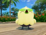 Pokémon Winds and Waves Set for 2027 Launch, Exclusive to Nintendo Switch 2