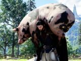 Crimson Desert Patch 1.09.00: Controller Remapping and 30 New Pets Headline Fan-Focused Update